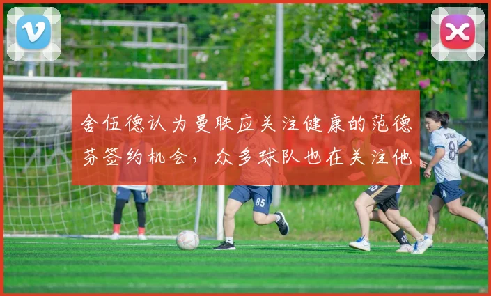 舍伍德认为曼联应关注健康的范德芬签约机会,众多球队也在关注他